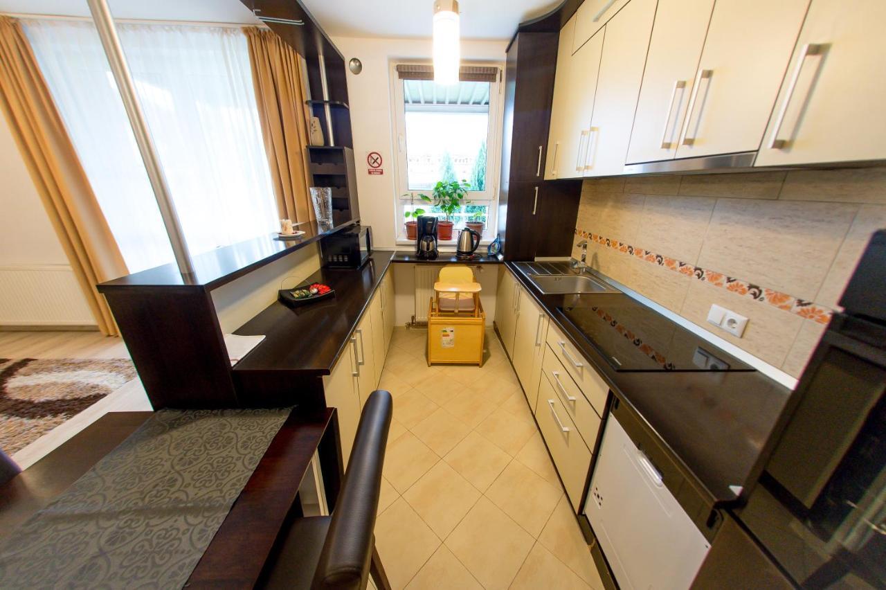 Terezianum Apartments, Free Parking Сибиу Экстерьер фото